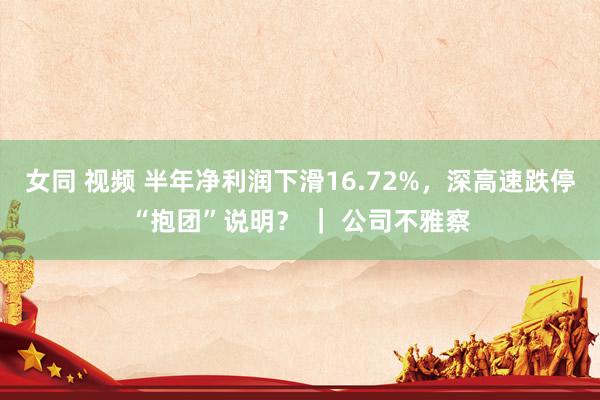 女同 视频 半年净利润下滑16.72%，深高速跌停“抱团”说明？ ｜ 公司不雅察