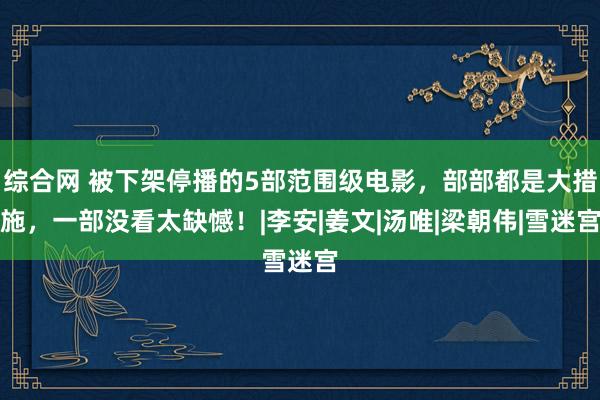 综合网 被下架停播的5部范围级电影，部部都是大措施，一部没看太缺憾！|李安|姜文|汤唯|梁朝伟|雪迷宫