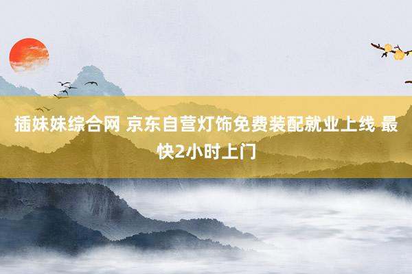 插妹妹综合网 京东自营灯饰免费装配就业上线 最快2小时上门